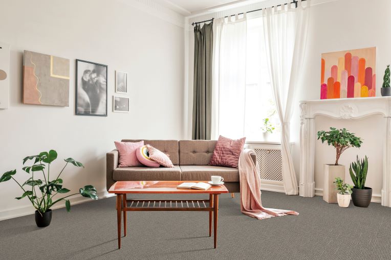 cozy grey carpet in a bright living room